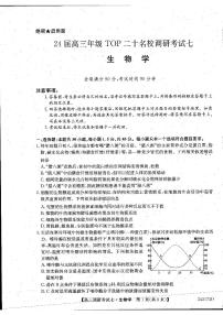 2024河南省新高中创新联盟TOP二十名校计划高三上学期11月调研考试生物PDF版含答案