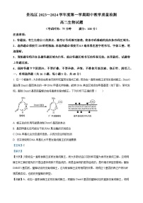 2024池州贵池区高二上学期期中考试生物试题含解析