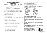 2024阳泉一中校高二上学期11月期中考试生物试题含答案