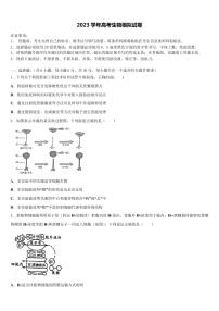 河北省景县中学2023学年高考生物全真模拟密押卷(含解析)