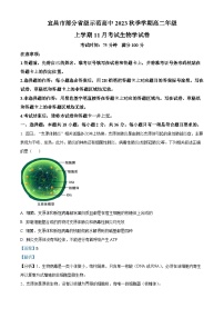 2024宜昌部分省级示范高中高二上学期11月月考生物试题含解析