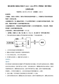 2024湖北省部分省级示范高中高二上学期期中考试生物试题含解析