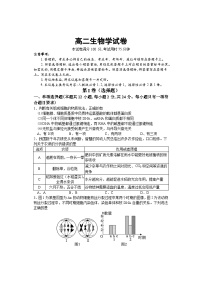 2024湖南部分校联考高二上学期期中考试生物试卷含答案