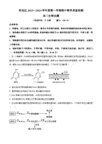 2024池州贵池区高二上学期期中考试生物含解析