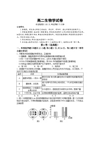 湖南部分校联考2023-2024学年高二上学期期中考试生物试卷（Word版附答案）