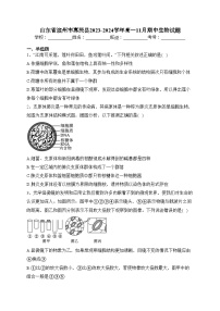 山东省滨州市惠民县2023-2024学年高一11月期中生物试题(含答案)