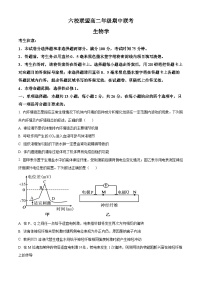 2024保定六校联盟高二上学期期中考试生物含解析