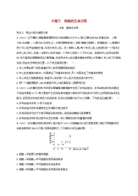 适用于新高考新教材2024版高考生物二轮复习专题突破练3细胞的生命历程（附解析）