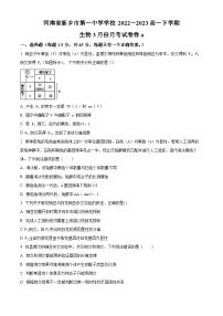 河南省新乡市一中2022-2023学年高一3月月考生物试题