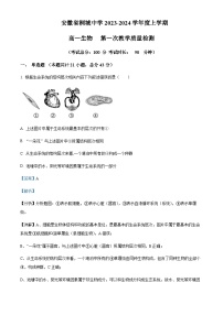 2023-2024学年安徽省安庆市桐城中学高一上学期第一次教学质量检测生物试题含答案