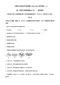 2023-2024学年天津市北辰区华辰学校高一上学期10月月考生物试题含答案