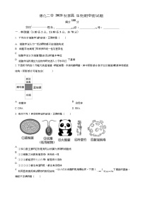 2023-2024学年福建省泉州市德化二中高一11月期中生物试题含答案