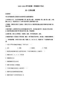 2023-2024学年江苏省徐州市高一上学期11月期中考试生物含答案