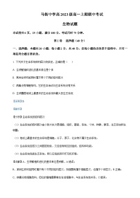 2023-2024学年四川省泸州市合江县马街中学高一上学期11月期中生物试题含答案