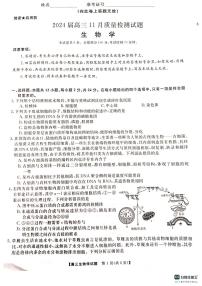 2024衡阳高三上学期11月联考试题生物PDF版含答案