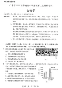 2024广东省普通高中（粤光联考）高三上学期第二次调研考试生物PDF版含答案