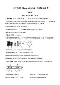 2023-2024学年湖南省名校联考联合体高一上学期第一次联考（期中考试）生物试卷含答案