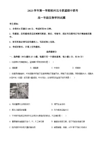 2023-2024学年浙江省杭州市外国语学校北斗联盟高一上学期期中联考生物试题含答案