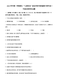 2023-2024学年浙江省镇海中学七彩阳光新高考研究联盟高一上学期期中联考生物试题含答案