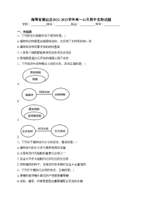 海南省澄迈县2022-2023学年高一11月期中生物试题(含答案)