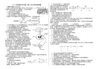 安徽省怀宁县高河中学2023-2024学年高二上学期第二次月考生物试题