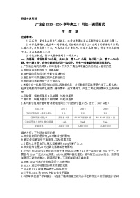 2024广东省高三上学期11月统一调研测试生物含解析