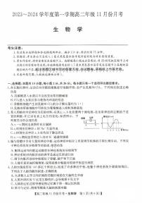 2024沧州高二上学期11月期中考试生物PDF版含答案