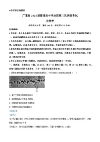 广东省2023-2024学年高三上学期第二次调研考试生物试题（解析版）