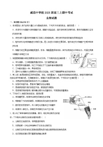 四川省内江市威远中学校2023-2024学年高二上学期期中考试生物试题