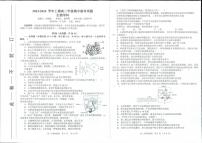 河南省郑州市第二高级中学等校2023-2024学年高二上学期期中联考生物试题