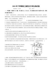 湖南省邵阳市邵东市第一中学2023-2024学年高三上学期第四次月考生物试题（无答案）