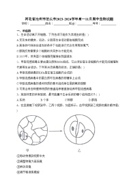 河北省沧州市泊头市2023-2024学年高一11月期中生物试题(含答案)