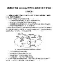 2024大连滨城高中联盟高三上学期期中（Ⅱ）考试生物无答案