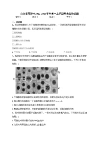 山东省菏泽市2022-2023学年高一上学期期末生物试题(含答案)