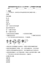 陕西省宝鸡市金台区2023-2024学年高一上学期期中生物试题(含答案)