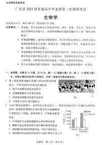 广东省普通高中（粤光联考）2023-2024学年高三上学期第二次调研考试 生物试卷及参考答案