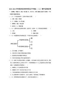 陕西省西安市昆仑中学2023-2024学年高二上学期期中生物试题