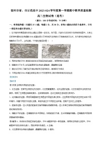 安徽省宿州市省市示范高中2023-2024学年高二上学期期中生物试题（Word版附解析）