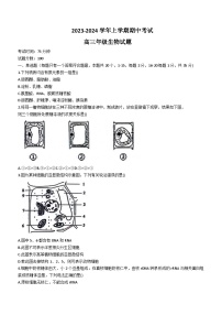 2024衡水冀州中学高三上学期期中考试生物无答案