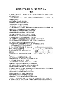 2024河南省TOP二十名校高三上学期调研考试八（12月）生物含解析