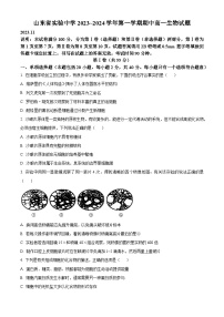 2024山东省实验中学高一上学期期中考试生物含解析