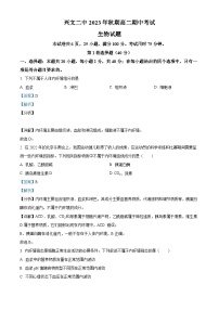 四川省兴文第二中学2023-2024学年高二11月期中生物试题（Word版附解析）