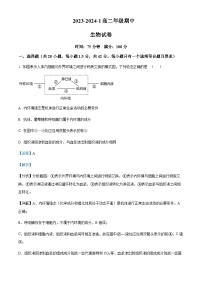 2023-2024学年陕西省西安市铁一中学高二上学期期中质量检测生物试题含答案