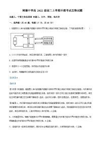 2023-2024学年四川省成都市树德中学高二上学期期中生物试题含答案