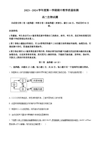 2023-2024学年山东省聊城市高二上学期11月期中考试生物含答案