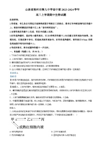 2023-2024学年山西省朔州市怀仁市第九中学高中部高二上学期11月期中生物试题含答案