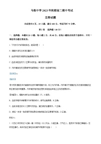 2023-2024学年四川省合江县马街中学高二上学期11月期中考试生物试题含答案