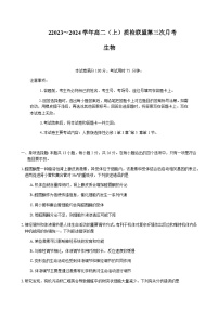 2023-2024学年河北省邢台市一中四校联盟高二上学期11月月考生物word版含答案