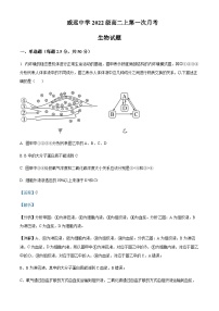 2023-2024学年四川省内江市威远中学高二上学期第一次月考生物试题含答案