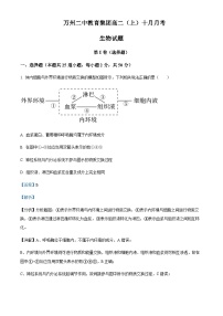 2023-2024学年重庆市万州二中学教育集团高二10月月考生物试题含答案